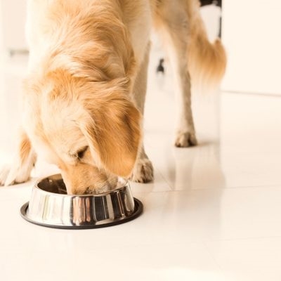 Hundefoder hos Grovvarecentret